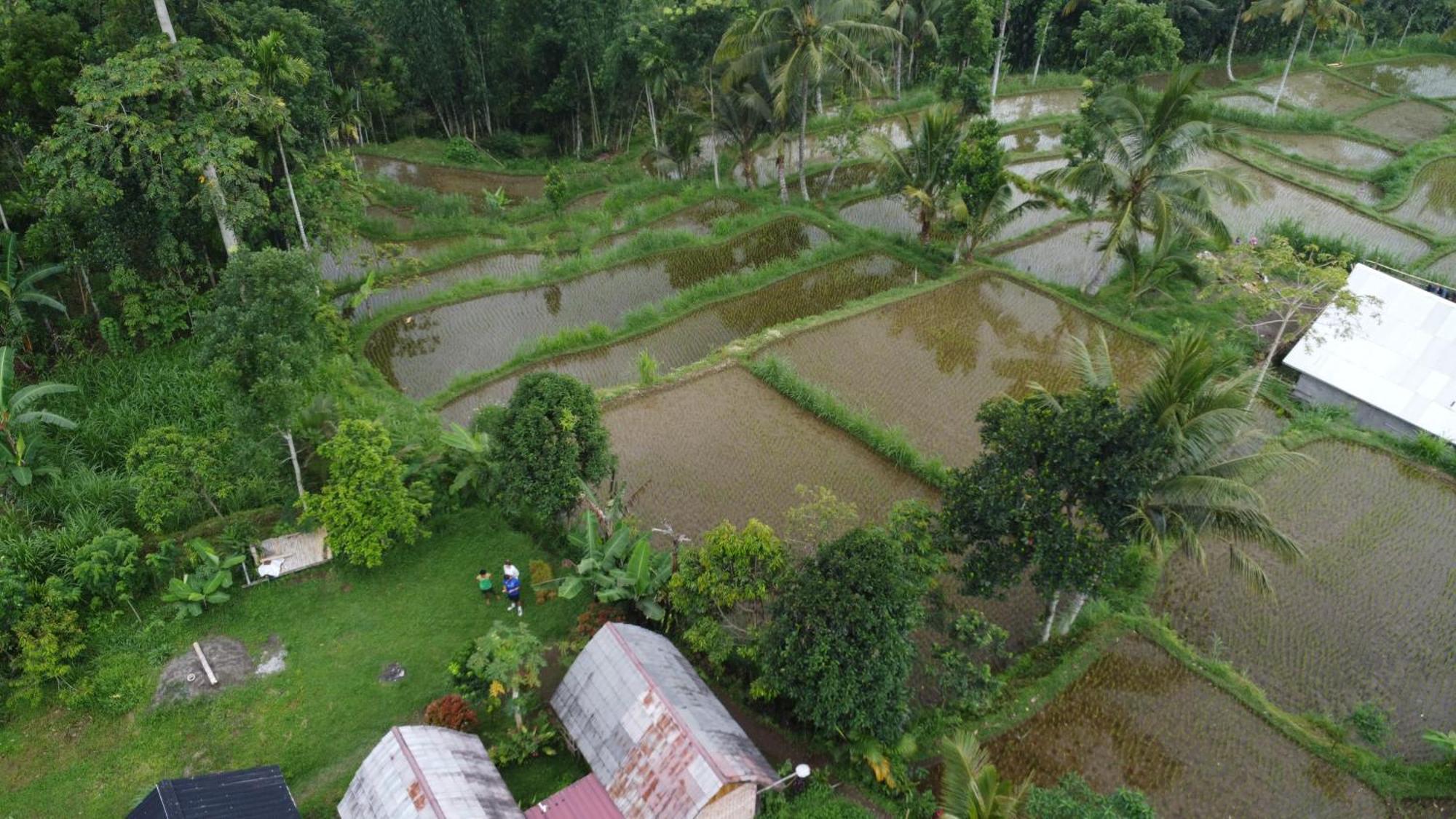 Ferienwohnung Tetebatu sunrise Exterior foto